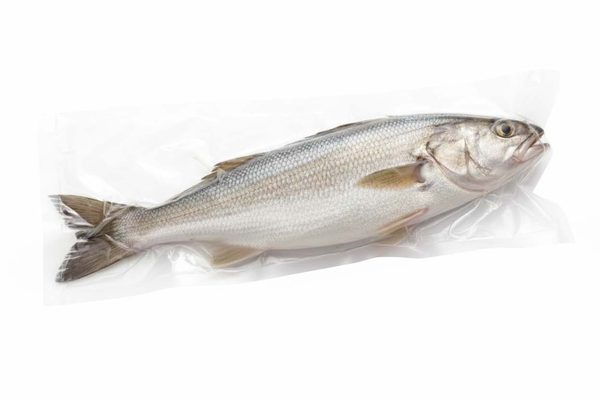 Corvina